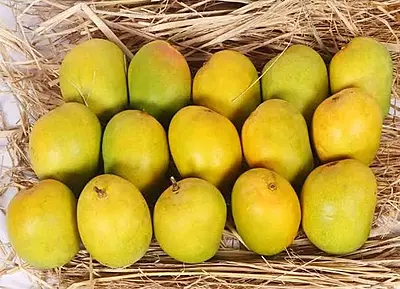 ALPHONSO MANGOES (LOCAL)
