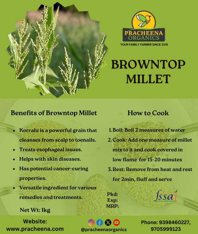 millets(browntop millet- andukorralu)(500gms,1kg) millets(browntop millet- andukorralu)(500gms,1kg)