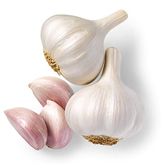 GARLIC GARLIC