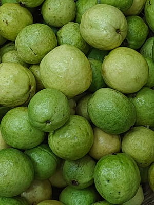 GUAVA (Jama -500Gm)