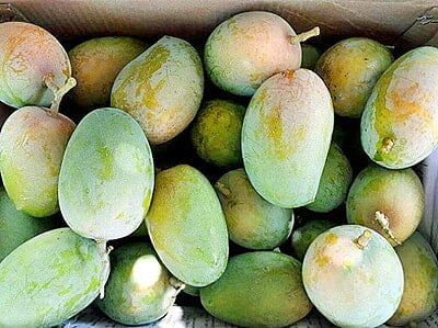 KESAR - 5 Kgs KESAR - 5 Kgs