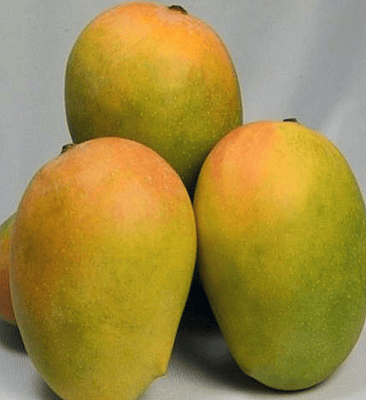 KESAR - 5 Kgs