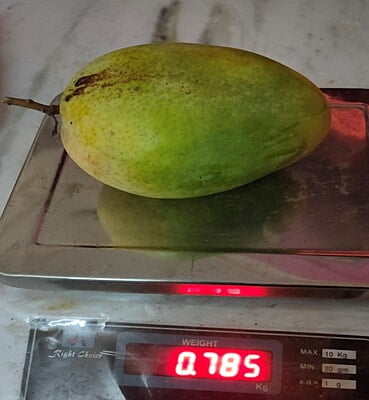 HIMAYAT (Imam) - 4 Kgs HIMAYAT (Imam) - 4 Kgs