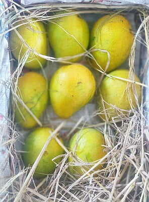 BANGINAPALLY - 5 Kgs BANGINAPALLY - 5 Kgs